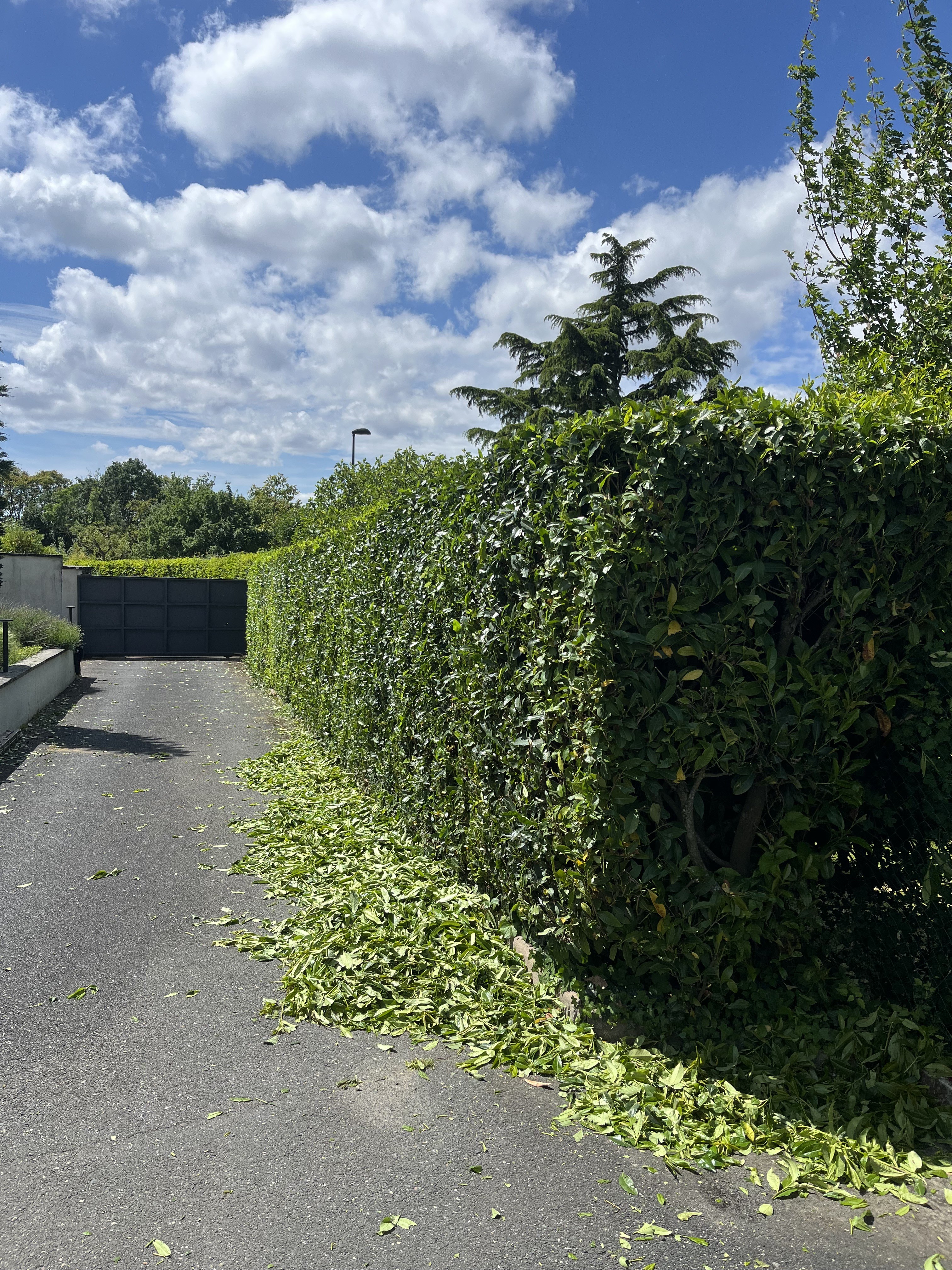 Location autre entre particuliers (01)