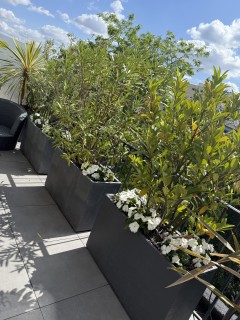 Service entretien jardin