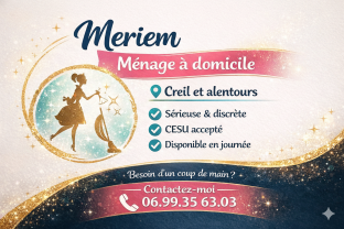Service aide menagere