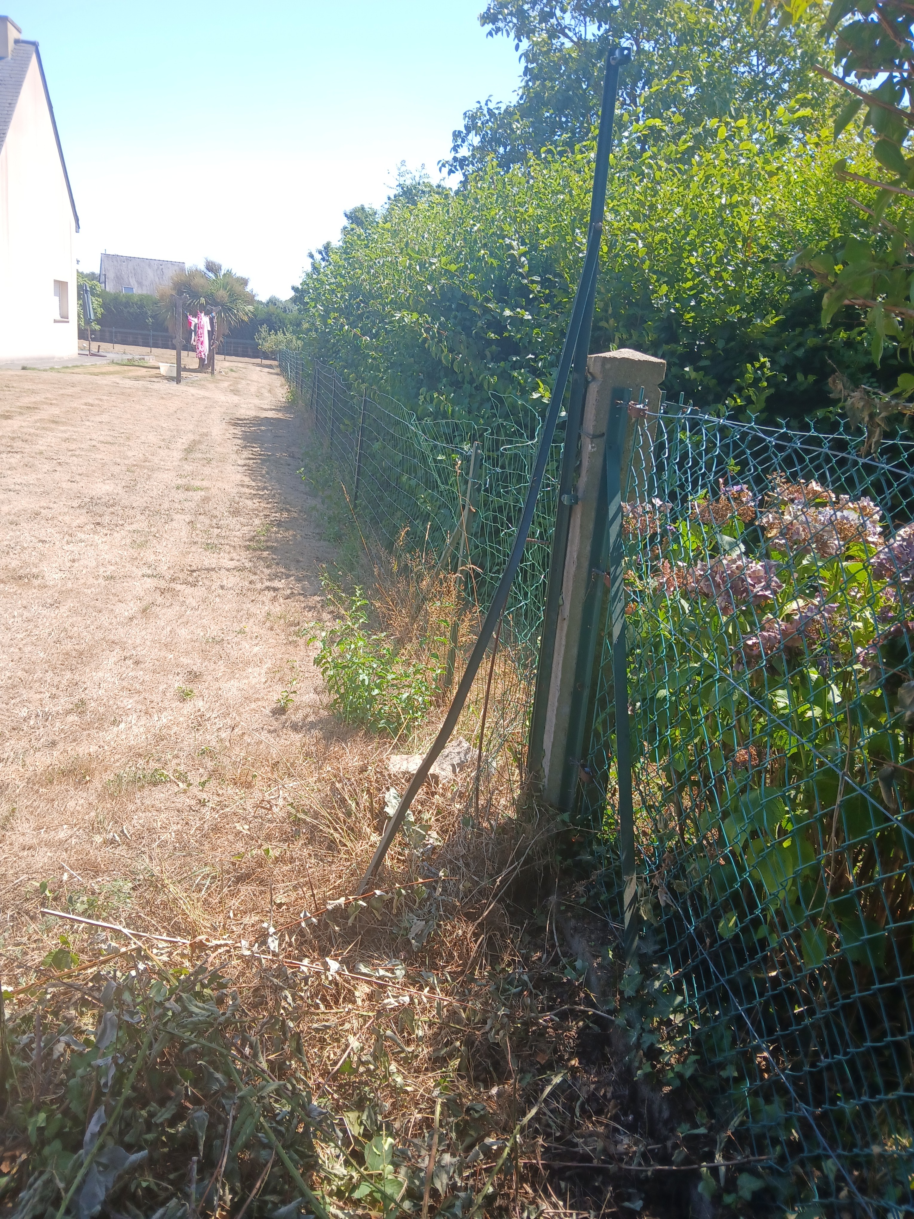 Service tonte de pelouse entre particuliers (22)