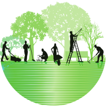 Service entretien espace vert