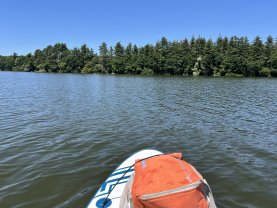Location paddle