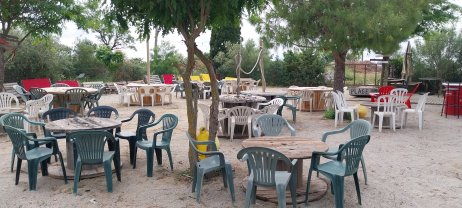 Service entretien espace vert
