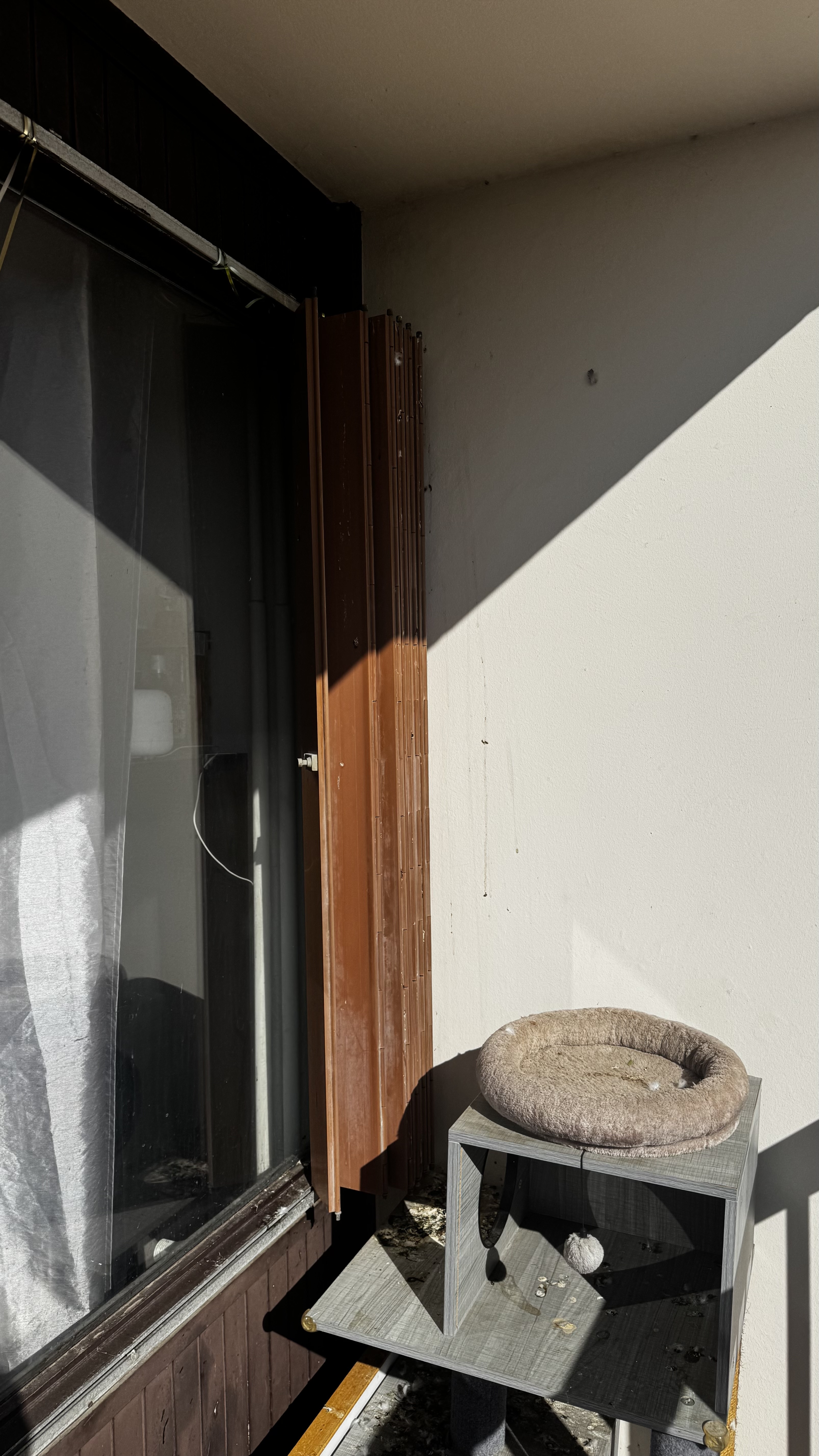 Service nettoyage entre particuliers (69)